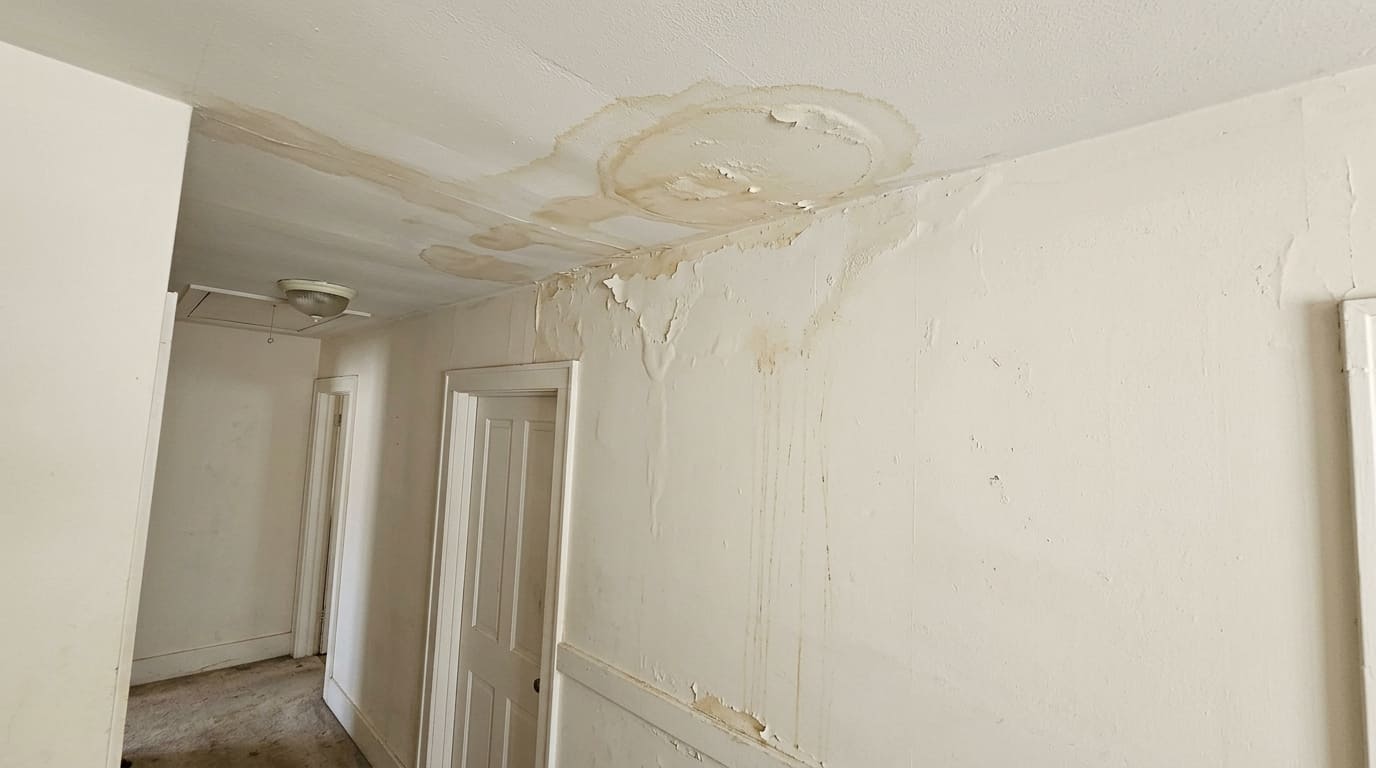 Leak Detection 2 Hidden wall leak